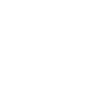 VHS CLASS of 1981